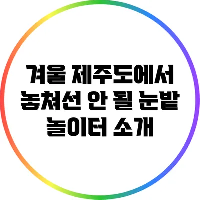 겨울 제주도에서 놓쳐선 안 될 눈밭 놀이터 소개