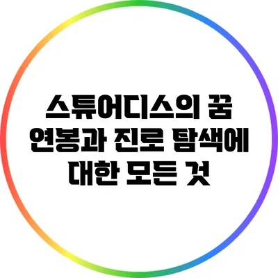 스튜어디스의 꿈: 연봉과 진로 탐색에 대한 모든 것