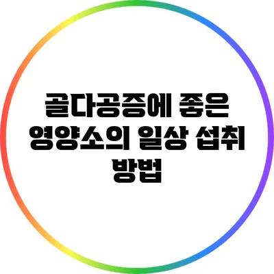 골다공증에 좋은 영양소의 일상 섭취 방법