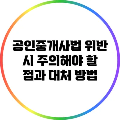 공인중개사법 위반 시 주의해야 할 점과 대처 방법