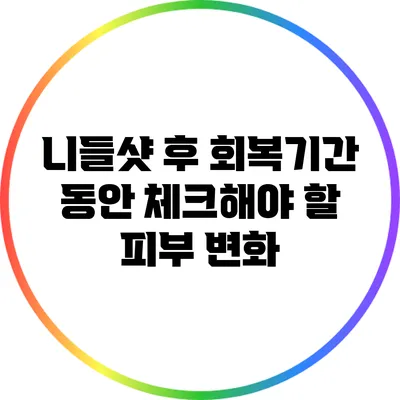 니들샷 후 회복기간 동안 체크해야 할 피부 변화