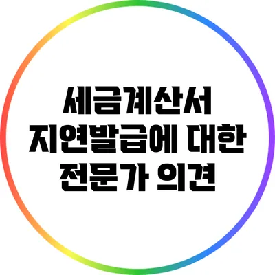 세금계산서 지연발급에 대한 전문가 의견