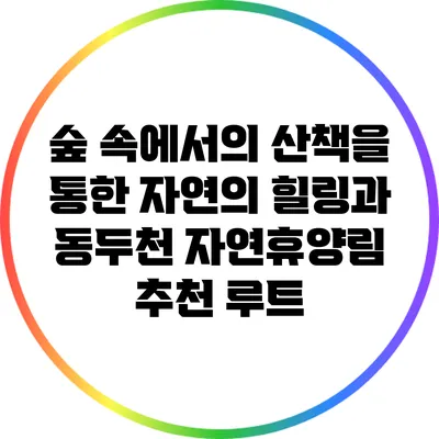 숲 속에서의 산책을 통한 자연의 힐링과 동두천 자연휴양림 추천 루트