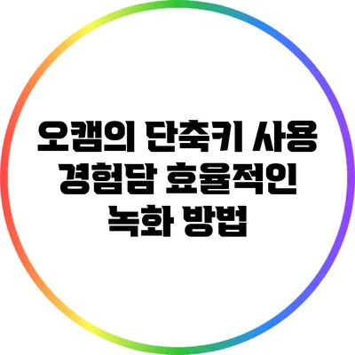 오캠의 단축키 사용 경험담: 효율적인 녹화 방법