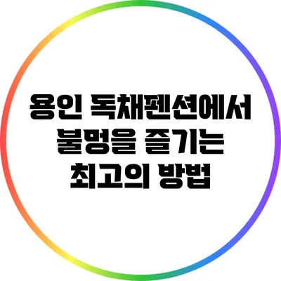 용인 독채펜션에서 불멍을 즐기는 최고의 방법