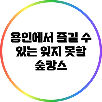 용인에서 즐길 수 있는 잊지 못할 숲캉스
