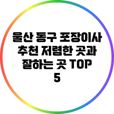 울산 동구 포장이사 추천: 저렴한 곳과 잘하는 곳 TOP 5