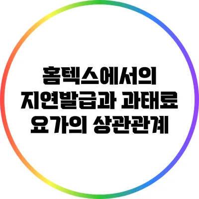홈텍스에서의 지연발급과 과태료 요가의 상관관계