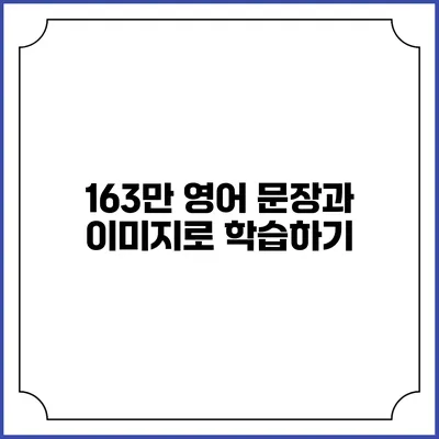163만 영어 문장과 이미지로 학습하기