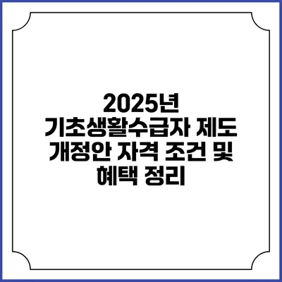 2025년 기초생활수급자 제도 개정안 자격 조건 및 혜택 정리