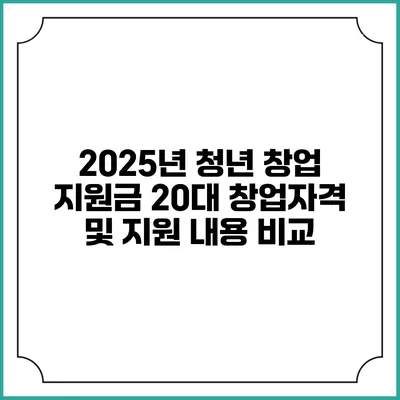 2025년 청년 창업 지원금 20대 창업자격 및 지원 내용 비교