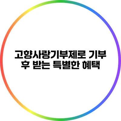 고향사랑기부제로 기부 후 받는 특별한 혜택