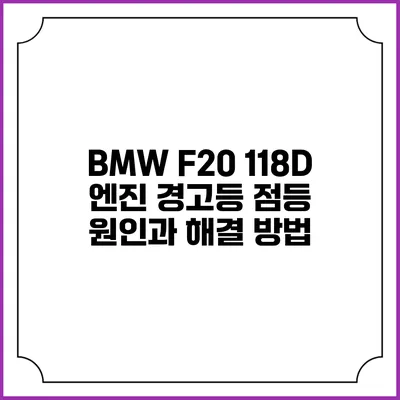 BMW F20 118D 엔진 경고등 점등 원인과 해결 방법