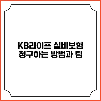 KB라이프 실비보험 청구하는 방법과 팁