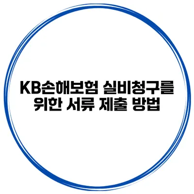 KB손해보험 실비청구를 위한 서류 제출 방법