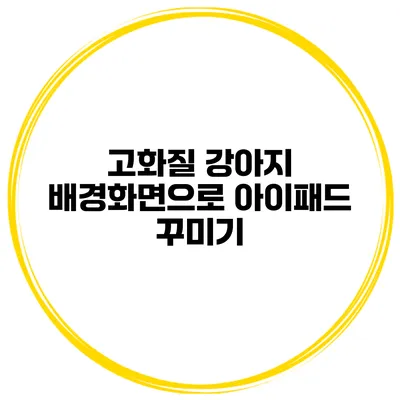 고화질 강아지 배경화면으로 아이패드 꾸미기