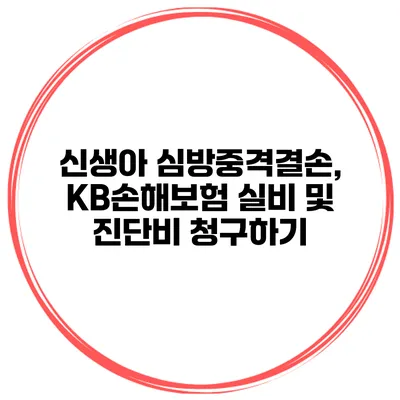 신생아 심방중격결손, KB손해보험 실비 및 진단비 청구하기