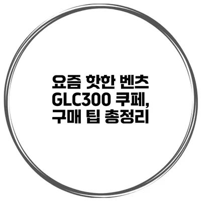 요즘 핫한 벤츠 GLC300 쿠페, 구매 팁 총정리