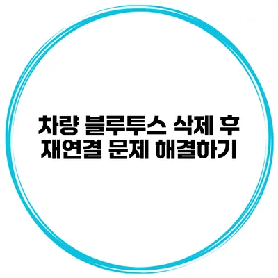차량 블루투스 삭제 후 재연결 문제 해결하기